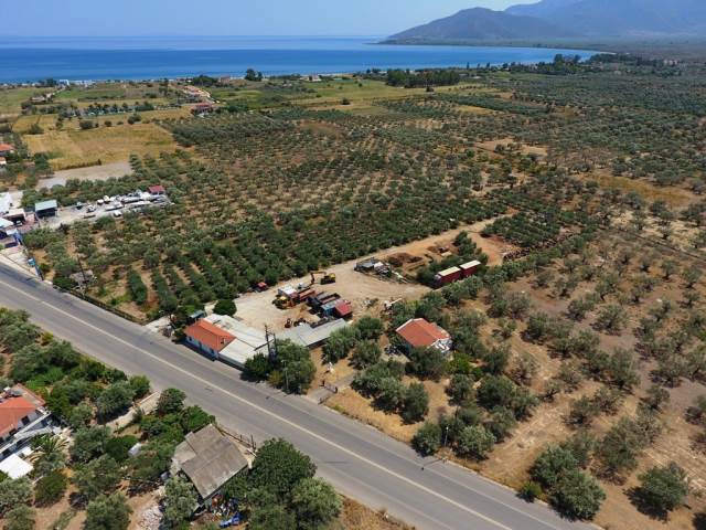 (For Sale) Land Plot || Arkadia/North Kynouria - 10.500Sq.m, 580.000€ 