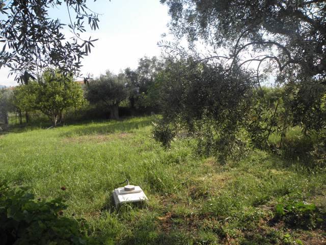 (For Sale) Land Plot || Arkadia/North Kynouria - 430 Sq.m, 65.000€ 