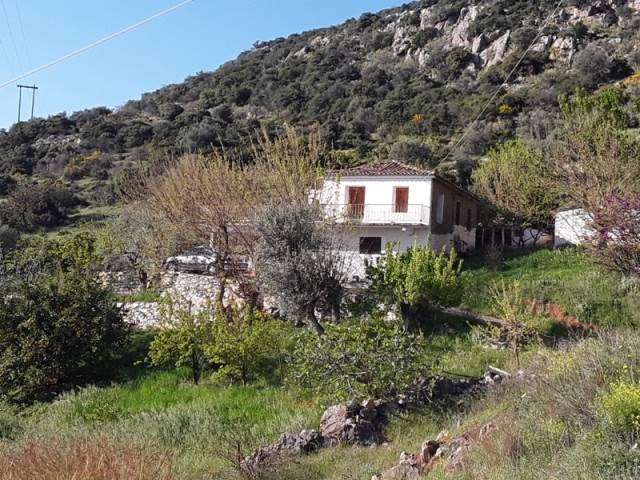 (For Sale) Residential Detached house || Arkadia/North Kynouria - 100 Sq.m, 100.000€ 