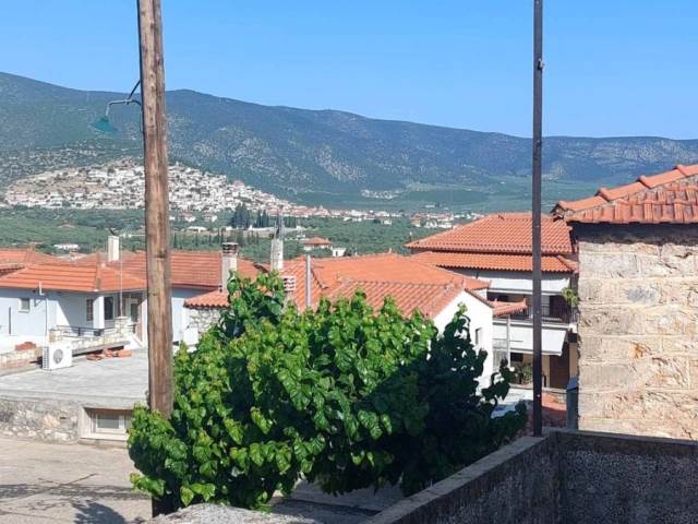 (For Sale) Residential Detached house || Arkadia/North Kynouria - 120 Sq.m, 1 Bedrooms, 45.000€ 