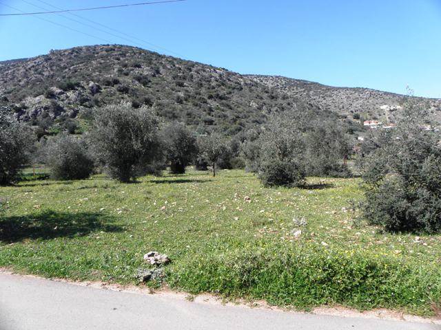 (For Sale) Land Agricultural Land  || Arkadia/North Kynouria - 3.195Sq.m, 160.000€ 