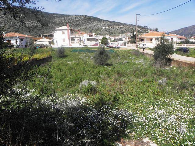 (For Sale) Land Plot || Arkadia/North Kynouria - 1.200Sq.m, 60.000€ 