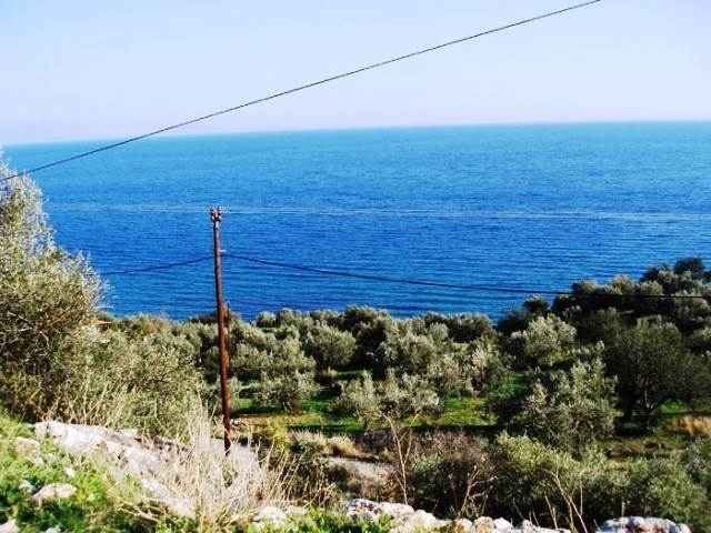 (Προς Πώληση) Αξιοποιήσιμη Γη Αγροτεμάχιο || Ν. Αρκαδίας/Βόρεια Κυνουρία - 3.100τ.μ, 160.000€ 